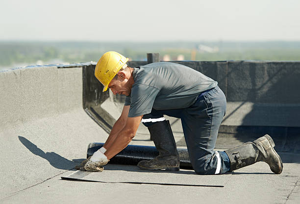Best Specialized Insulation Services in Canton, OH