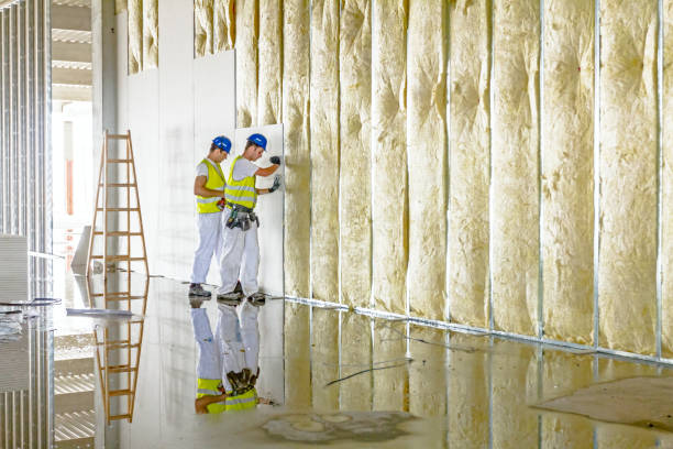 Professional Insulation Contractor in Canton, OH